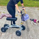 zimmer-frame-alternative