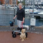 travelling-with-a-knee-walker-strideon